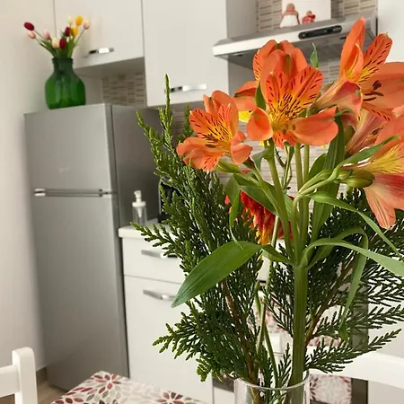 Donna Filomena Apartamento